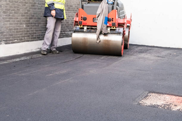 Best Driveway Grading and Leveling  in Cedar Falls, IA